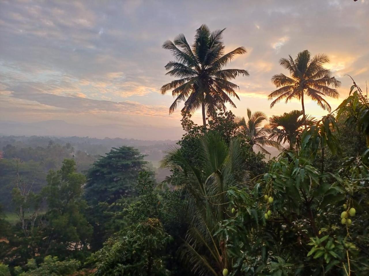 The Traveller Kandy Exterior photo